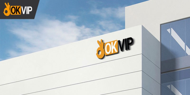 su menh va gia tri cot loi okvip